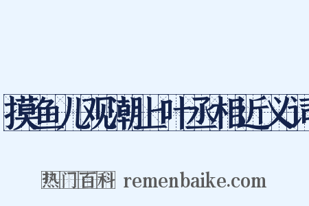 摸鱼儿观潮上叶丞相近义词是什么意思的图片